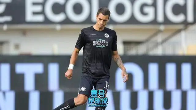 浙江队迎意甲关键赛，集结日止住颓势，目标明确，阵容厚度经受考验的简单介绍